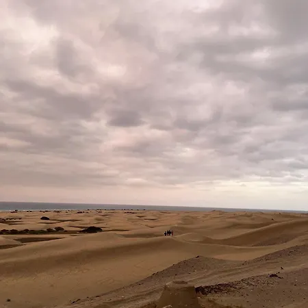 Juncos Ii Playa del Inglés