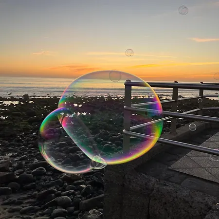 Juncos Ii Playa del Inglés