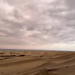 Juncos Ii Playa del Inglés