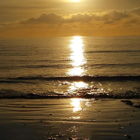 Juncos Ii アパート