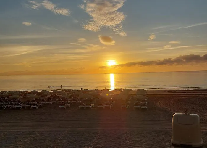 Juncos Ii Playa del Inglés