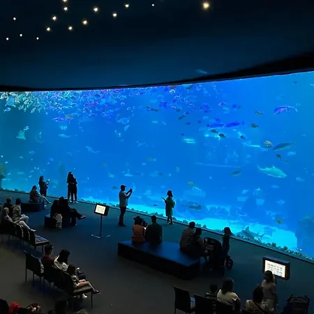 Apartamento Juncos Ii *