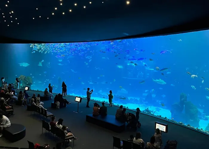 Apartman Juncos Ii *