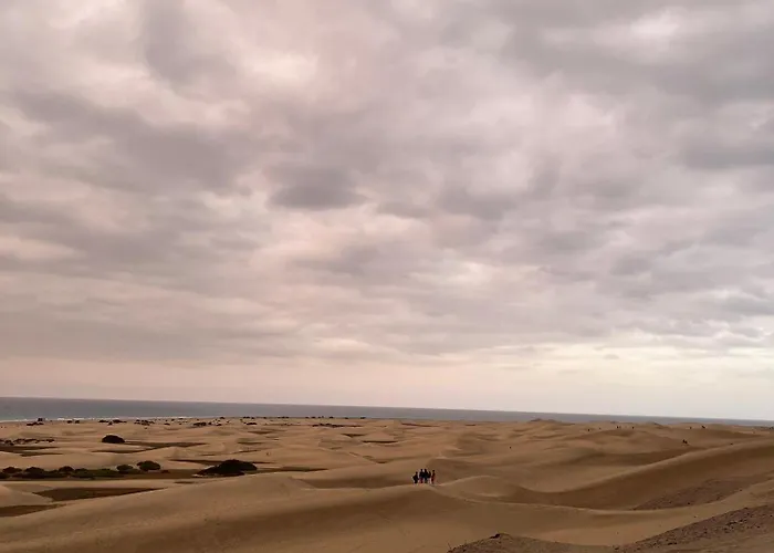Juncos Ii Playa del Inglés