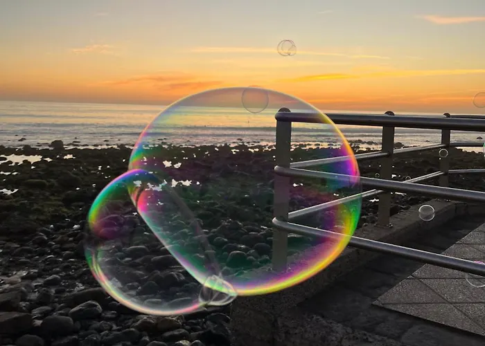 Juncos Ii Playa del Inglés